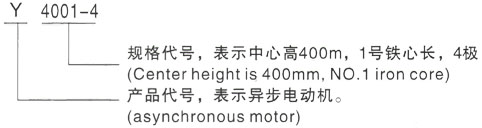 西安泰富西玛Y系列(H355-1000)高压YKS5604-12三相异步电机型号说明