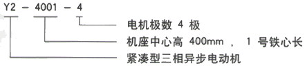 YR系列(H355-1000)高压YKS5604-12三相异步电机西安西玛电机型号说明